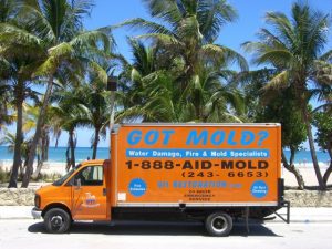 Mold Removal Van In Palm Beach County